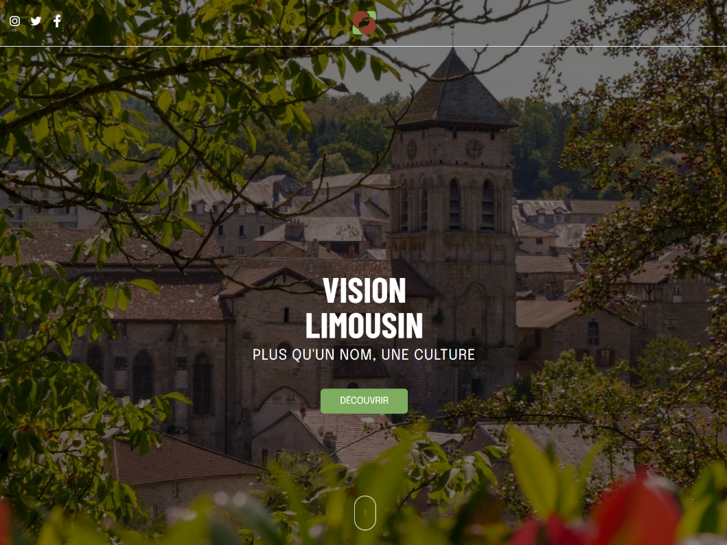 Maquette du site Vision Limousin